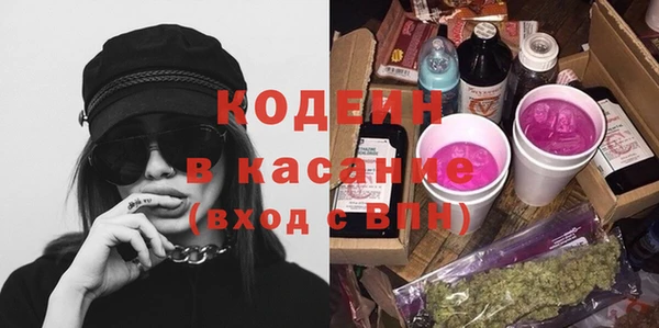 ГАЛЛЮЦИНОГЕННЫЕ ГРИБЫ Инсар