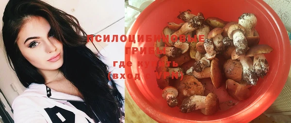 ГАЛЛЮЦИНОГЕННЫЕ ГРИБЫ Инсар